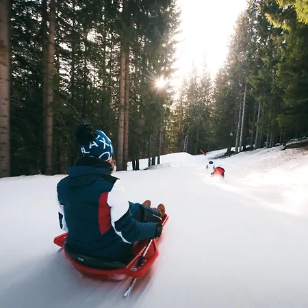 Confortable 2 Pieces, Skis Aux Pieds, Proche Commerces - Fr-1-182a-30 *