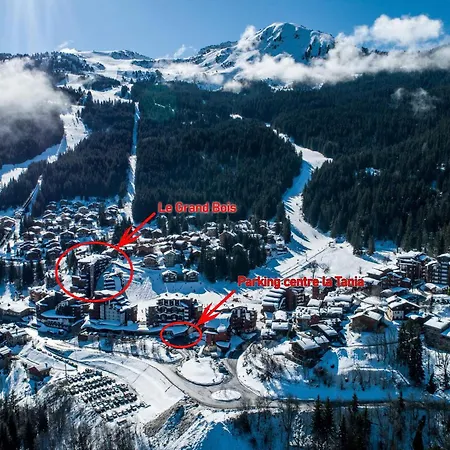 2 Pieces Pour 4 Personnes Avec Balcon - Le Grand Bois A, La Tania - Fr-1-182a-30 * Courchevel